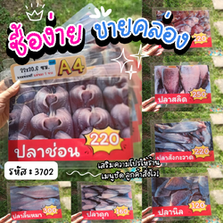 ป้ายเมนูสำเร็จรูป A4 - 7 แผ่น | ปลาช่อน, ปลาสลิด, ปลาดุก, ปลาลิ้นหมา, ปลาสังกะวาด, ปลานิล, ปลาสวาย | เมนูชัดเจน พร้อมใช้งาน