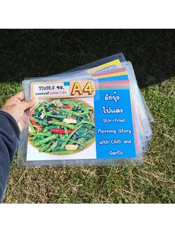 ชุดป้ายเมนู A4 อาหารจานด่วน 12 แผ่น | กะเพราหมูสับไข่ดาว, กะเพรากุ้งไข่ดาว, กะเพราไก่ไข่ดาว, กะเพราทะเล(กุ้งกับหมึก) | เพิ่มยอดขายร้านของคุณทันที! | รหัส 4058