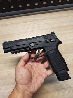 WE Sig Sauer P320 M17 GBB BB Gun บีบีกัน แบบแก๊ส ปืนอัดลม มือสอง Airsoft Gun