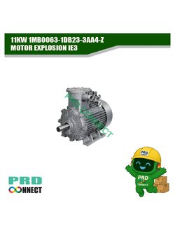 11KW 1MB0063-1DB23-3AA4-Z MOTOR EXPLOSION IE3