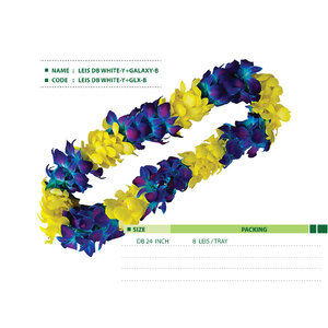 LEIS-DB-WHITE-Y+GLX-B