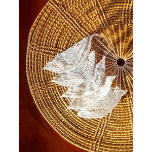 รังนกปลาหมึก รังนกแท้ รังนกแห้ง รังนกทำความสะอาดเสร็จ พร้อมปรุง