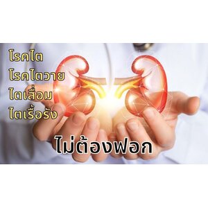 โรคไต ไตวาย ไตเสื่อม ไตเรื้อรัง โรคไตทุกระยะ