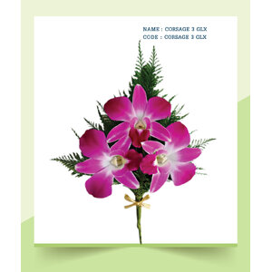 CORSAGE-3-GLX