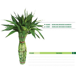 BOWLING-BRAIDED-BAMBOO