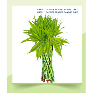 CAPSULE-BRAIDED-BAMBOO-GOLD