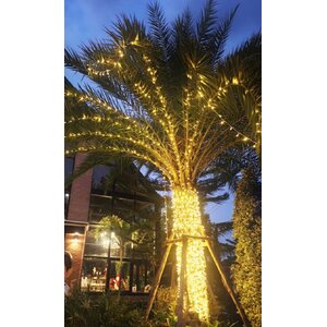 ไฟประดับงานเลี้ยงฉลอง