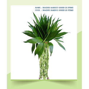 BRAIDED-BAMBOO-GREEN-20-STEMS