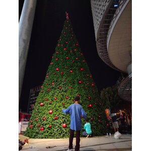 ตารางราคาต้นคริสต์มาสปลอม"ล่าสุด"