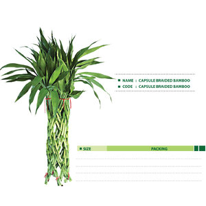 CAPSULE-BRAIDED-BAMBOO