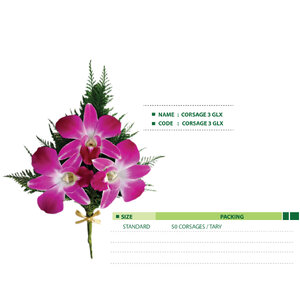 CORSAGE-3-GLX