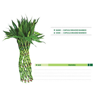 CAPSULE-BRAIDED- BAMBOO