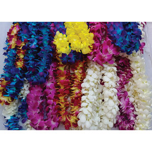 LEIS