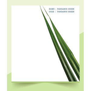 PANDANUS-GREEN
