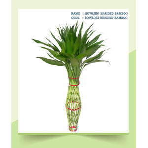 BOWLING-BRAIDED-BAMBOO