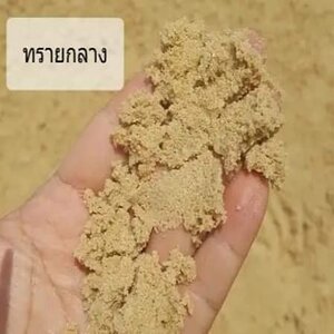 ทรายกลาง