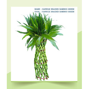 CAPSULE-BRAIDED-BAMBOO-GREEN