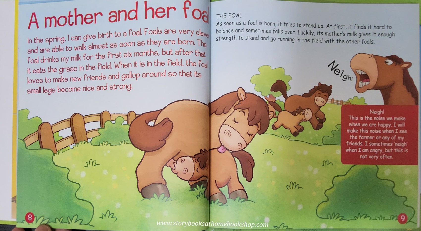 หนังสือนิทานปกแข็ง** 🍅🍓MY ANIMAL FARM: ANIMALS IN THE FIELD:HORSES