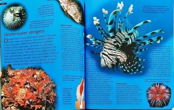 KNOWLEDGE BOOK 🍅🍓 KINGFISHER:Dangerous Creatures