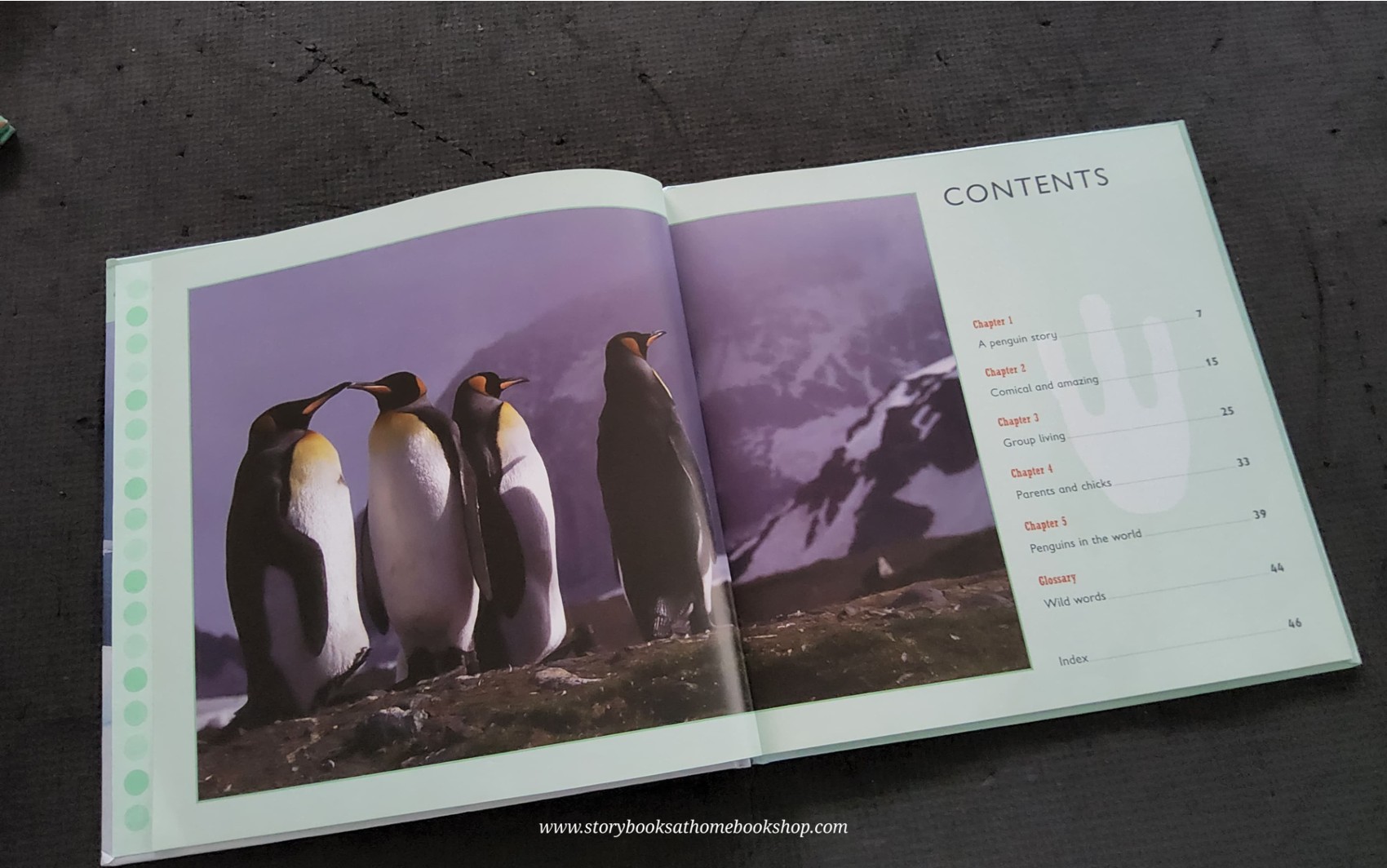 KNOWLEDGE BOOK** ♥️♥️ALL ABOUT ANIMAL:PENGUINS