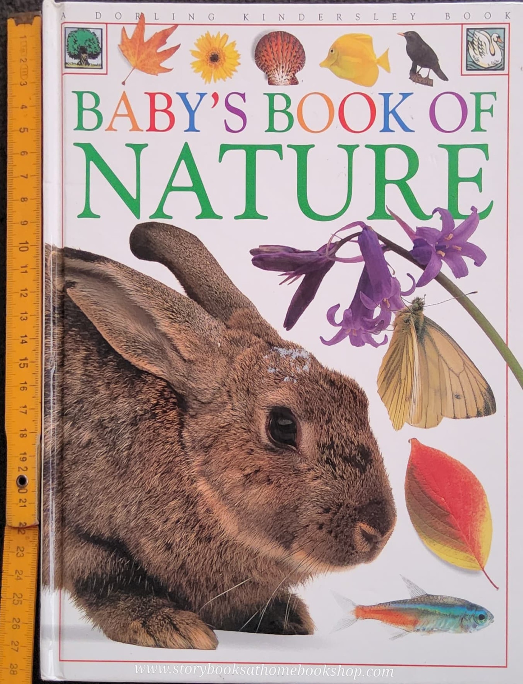 KNOWLEDGE BOOK** ♥️♥️BABY'S BOOK OF NATURE