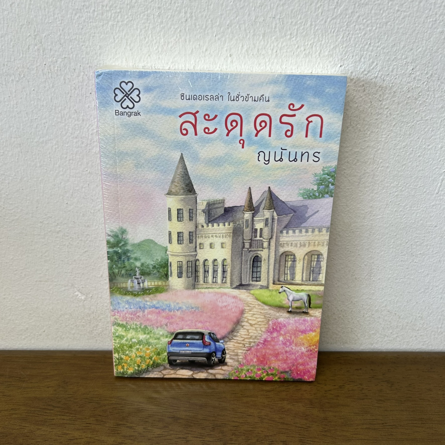 สะดุดรัก ... ญนันธร (มือหนึ่งซีล) นิยาย บางรัก