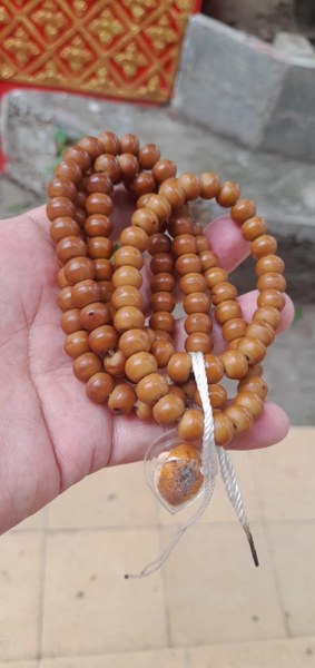 ประคำลูกหวาย ครูบาชัยยะวงศา วัดพระพุทธบาทห้วยต้ม จ.ลำพูน ได้มาเมื่้อวันที่ 13 สิงหาคม จากสามเณรวัดห้วยต้ม ท่านหนึ่ง เป็นประคำที่ท่านใช้ภาวนา แต่ท่านบอกว่าได้เปลี่ยนเชือกร้อยใหม่ เพราะเชื่อเดิมจะขาด ถึงจะไม่แตกลายงา แต่สภาพสวยงาม