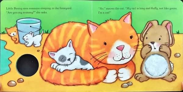 Board Book ** 🍅🍓Are you my Mummy? LITTLE BUNNY