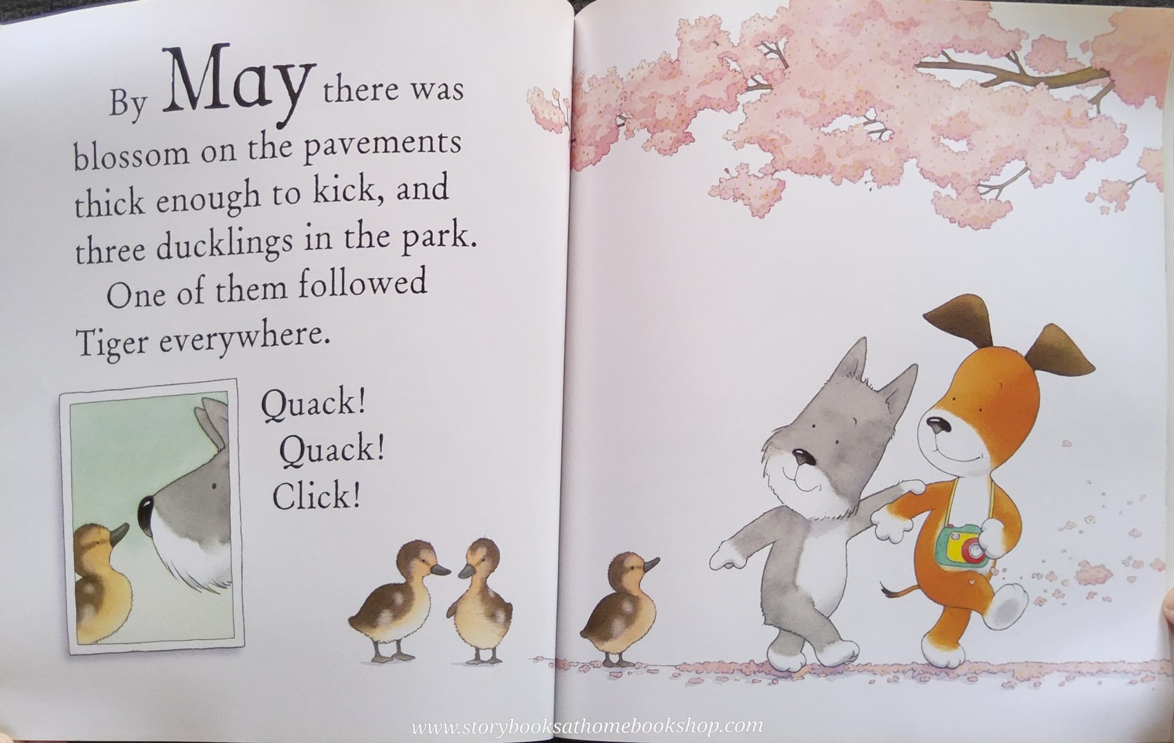 หนังสือนิทานปกอ่อน** 🍅🍓One Year with Kipper BY MICK INKPEN