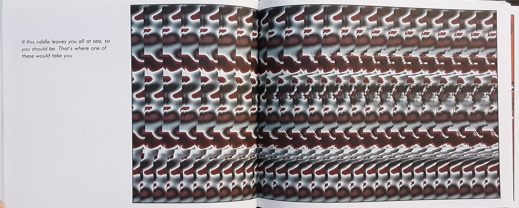 PUZZLE BOOK** 🍅🍓EYE ILLUSIONS