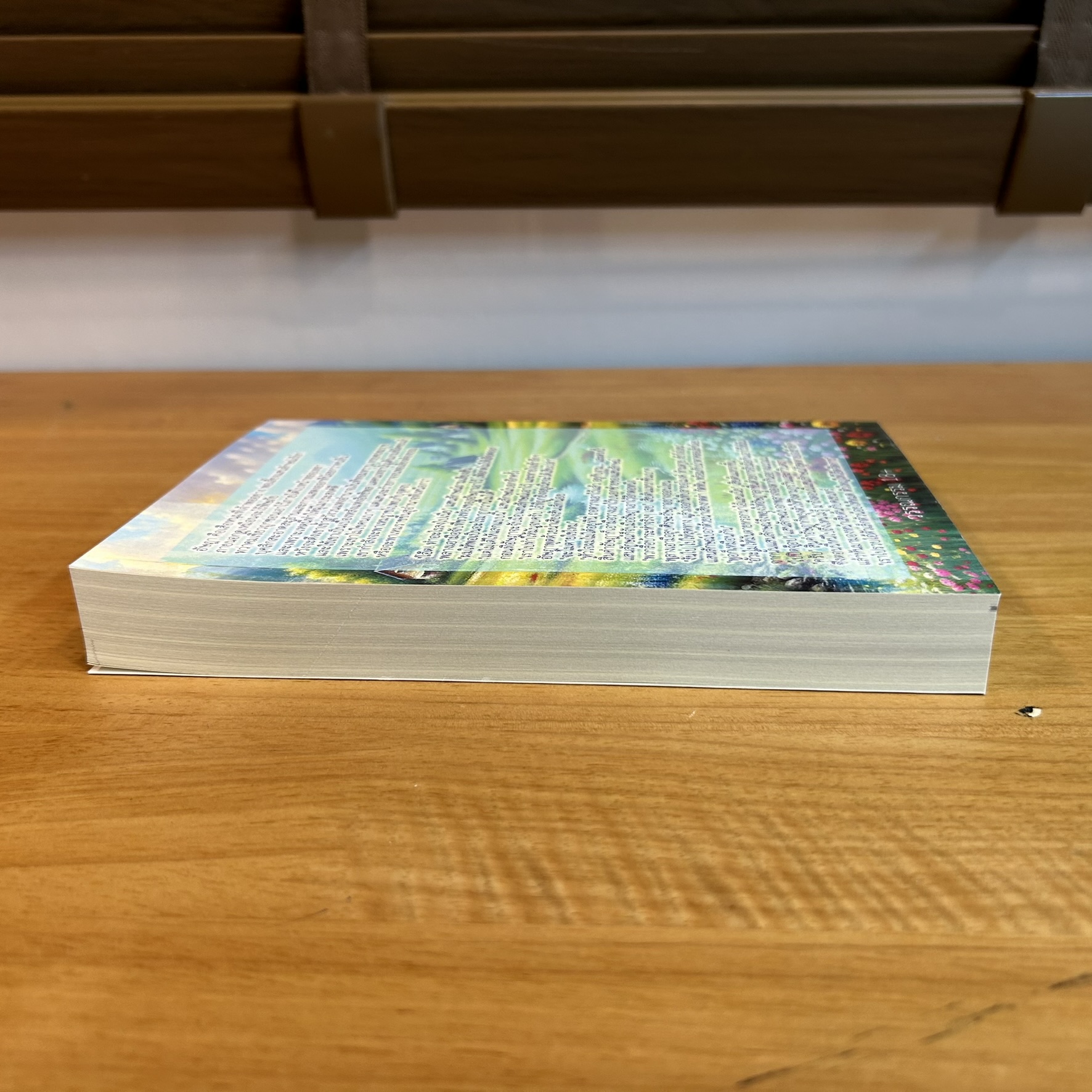 แสนร้ายซ่อนรัก ... มณีมายา (มือสอง) ปก 399 นิยายโรแมนติก นิยายทำมือ