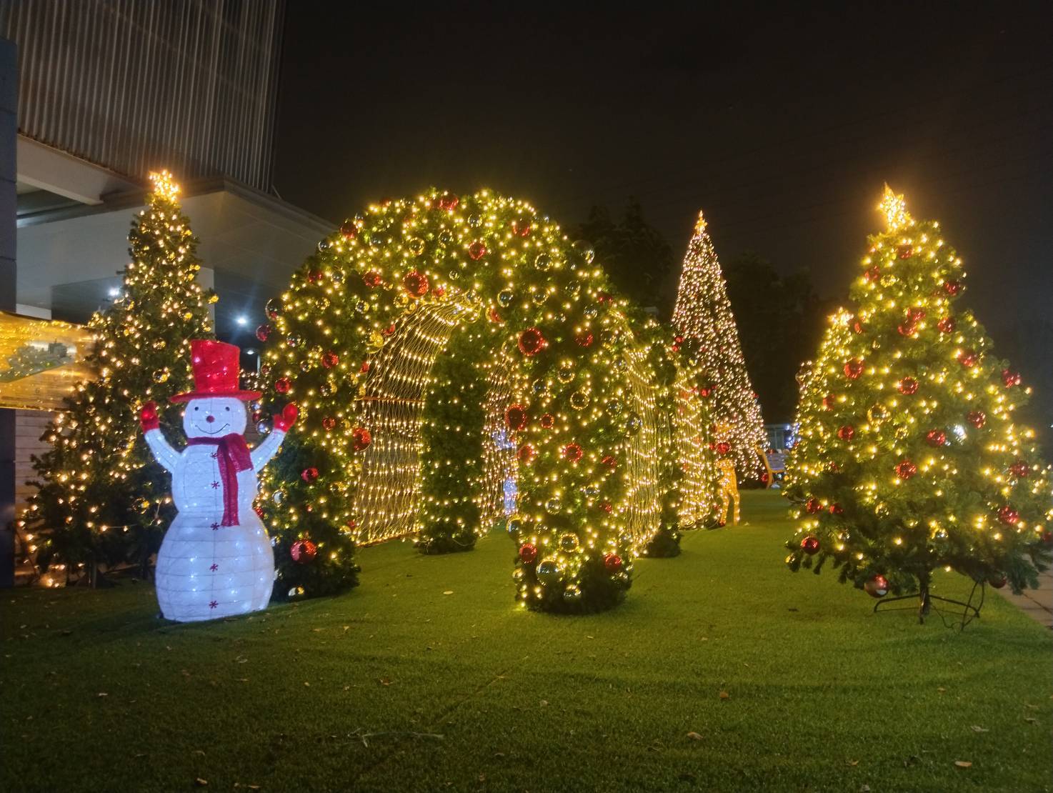 อุโมง๕ืไฟประดับตกแต่งงานเลี้ยง ยอดนิยม สีสันของประดับที่คุณชื่นชอบ