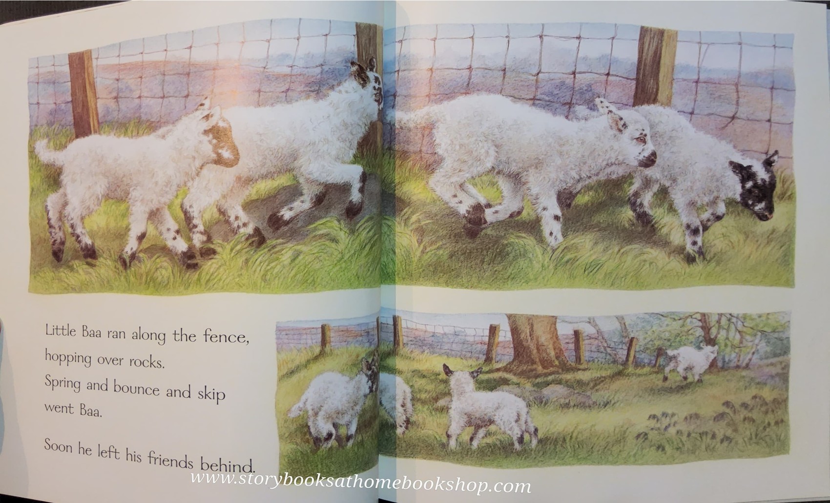 หนังสือนิทานปกอ่อน** 🍅LITTLE BAA BY KIM LEWIS♥️♥️