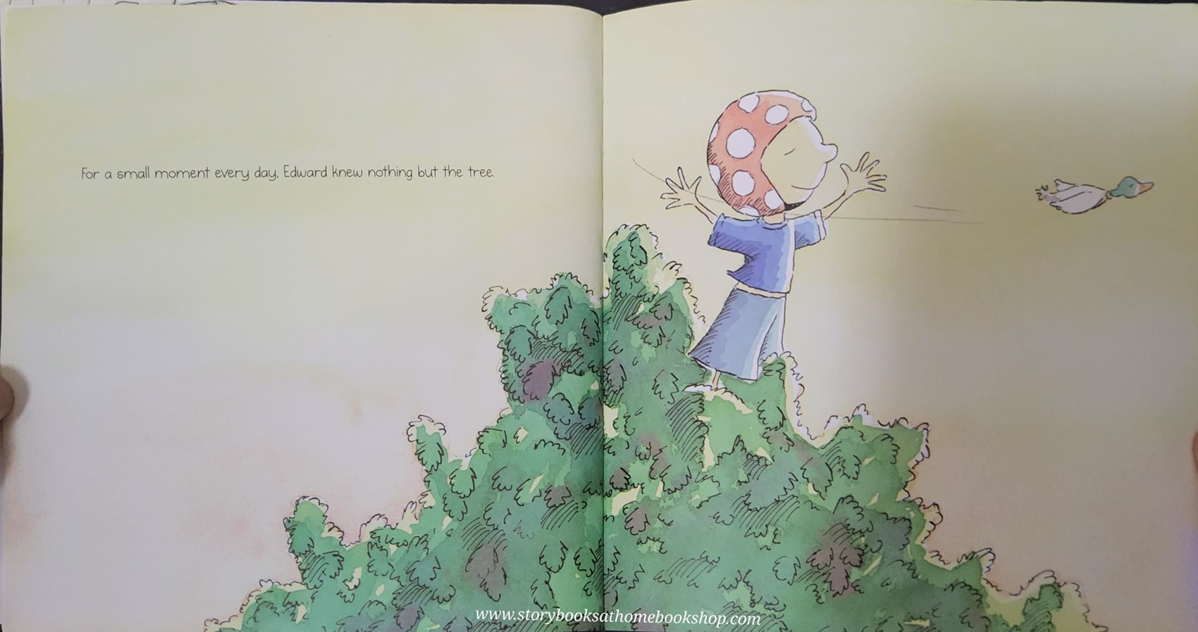 หนังสือนิทานปกอ่อน** 🍅🍓LAST TREE IN THE CITY BY PETER CARNAVAS