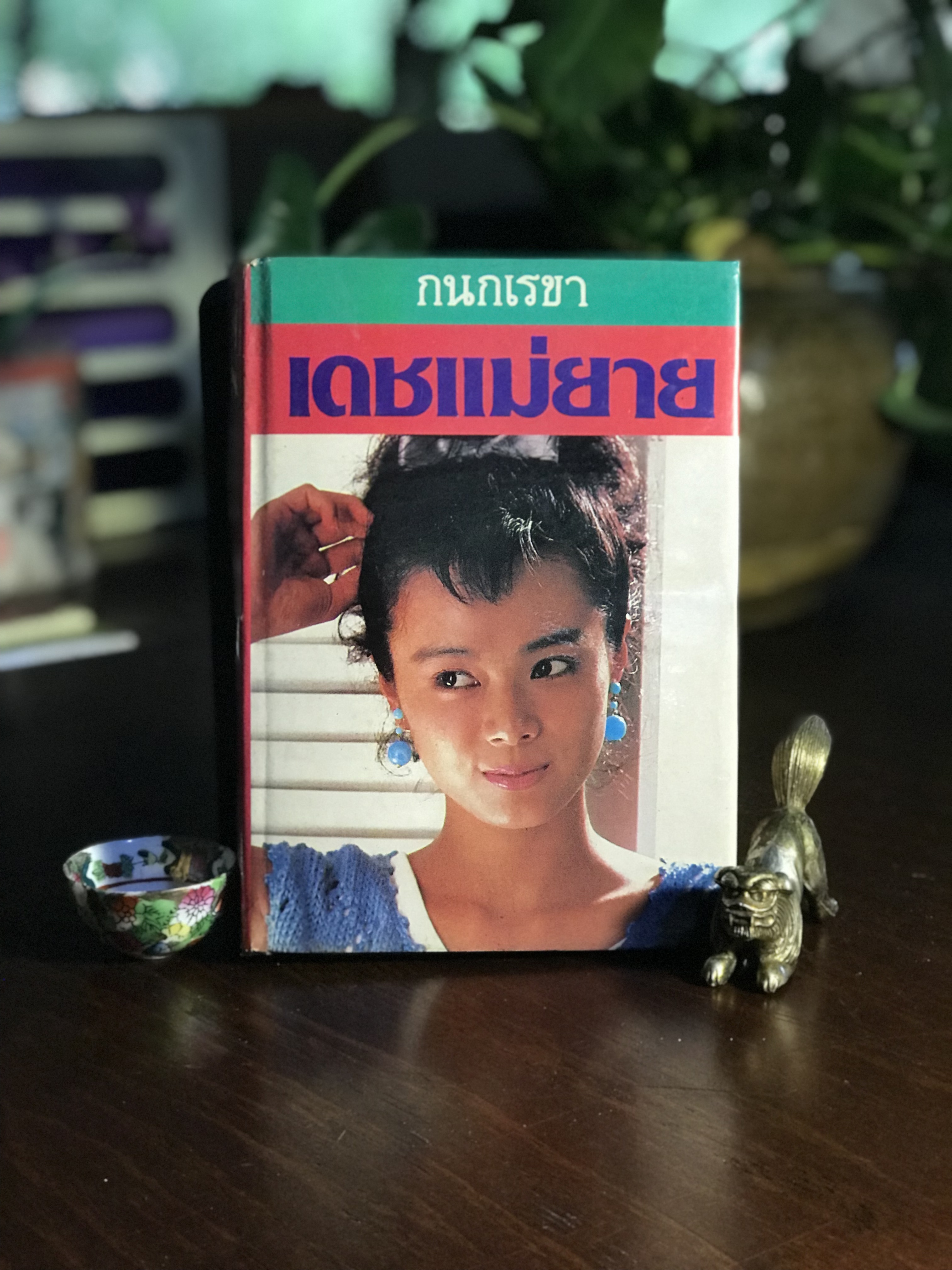 เดชแม่ยาย ผู้เขียน: กนกเรขา สำนักพิมพ์: บำรุงสาส์น ➡️H16