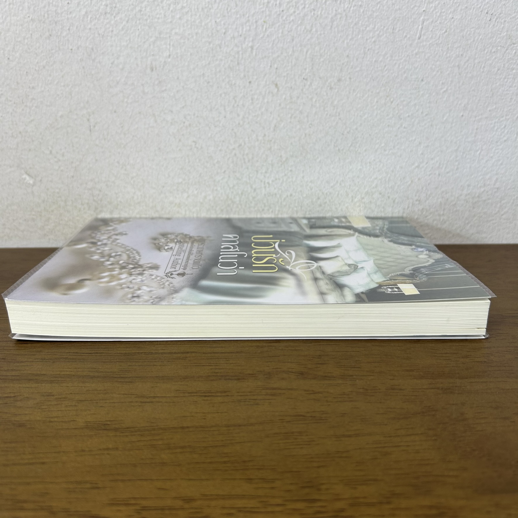 ป่วนรักคาสโนว่า ... กระดาษทรายแก้ว (มือสอง) นิยาย โรมานซ์ พลอยวรรณกรรม