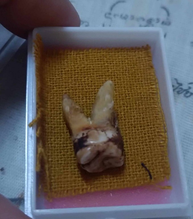 พระทันตธาตุ และผ้ายันต์เมตตา ค้าขายดี ครูบาจันต๊ะ วัดหนองช้างคืน จ.ลำพูน เจ้าของเดิมชื่อลุงวิทย์ เมื่อก่อนอาศัยอยู่ข้าง ๆ วัดหนองช้างคืน เป็นลูกศิษย์ยุคต้น ๆ รับใช้ครูบามา 6-7 ปี ระหว่างปี 2538 - 2545 ปัจจุบันอายุ 73 ปี