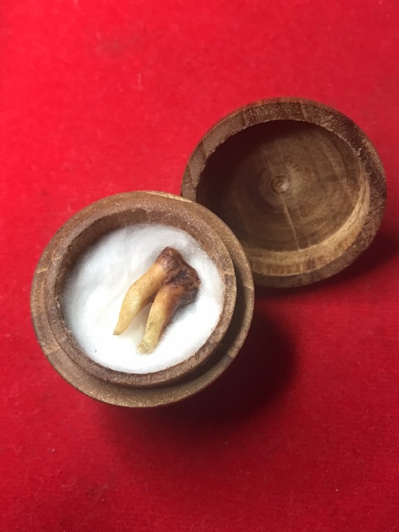 พระทันตธาตุ ครูบาใจมา วัดทุ่งจำลอง ต.แม่งอน อ.ฝาง จ.เชียงใหม่ องค์นี้ได้มาจากคุณลุงสันติ อายุ 79 ปี เป็นชาว อ.ฝาง จ.เชียงใหม่ คุณลุงสันติ เคยบวชเป็นพระ รับใช้ครูบาใจมา ตั้งแต่ปี พ.ศ. 2532-2540 ท่านสึกมาเมื่อปี 2541 มาดูสวนส้ม และดูแลคุณแม่