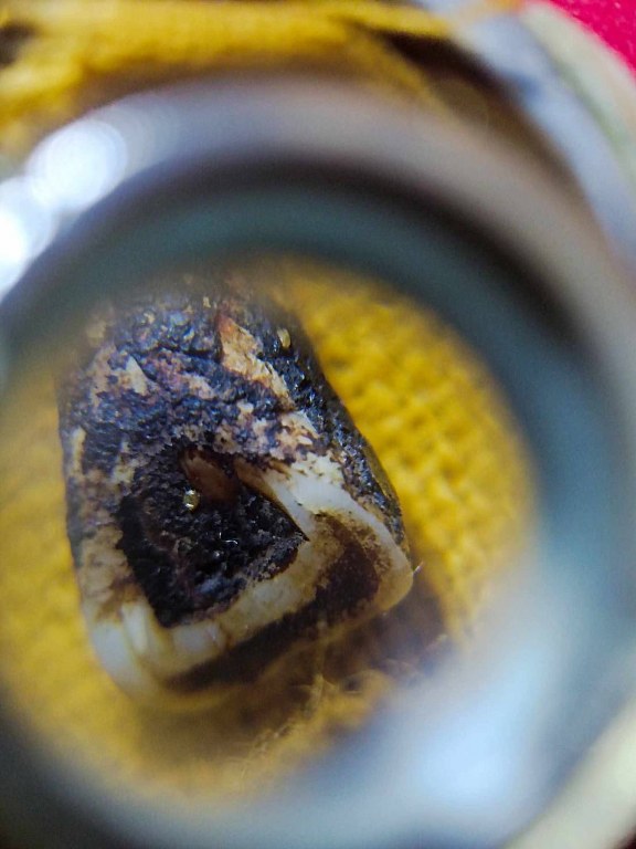 พระทันตธาตุครูบาจ๋ันทิมา วัดบ้านเรือน อ.ป่าซาง จ.ลำพูน พระทันตธาตุองค์นี้ได้มาจาก สล่าบอย อายุ 50 ปี หนานแดง เสียชีวิตแล้วเมื่อปี 2549 หนานแดงได้พระทันตธาตุครูบาจันทิมา นี้เมื่อปี 2520 ปี เป็นหลานหนานแดง หนานแดงเป็นลูกศิษย์ครูบาจันทิมา