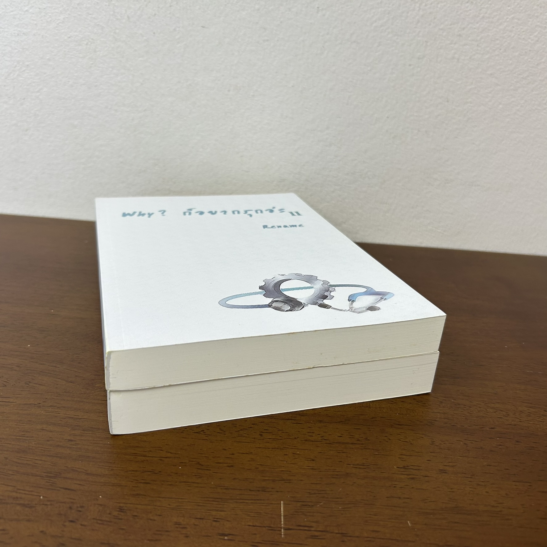 [YAOI] Why? ก็อยากรุกอ่ะ เล่ม 1-2 จบ ... Rename (มือสอง) นิยายวาย