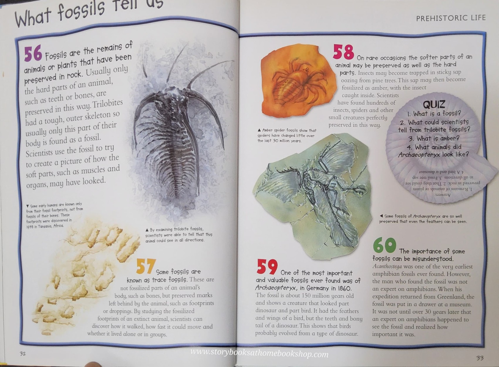 KNOWLEDGE BOOK** ♥️CHILDREN'S ENCYCLOPEDIA DINOSAURS AND PREHISTORIC LIFE