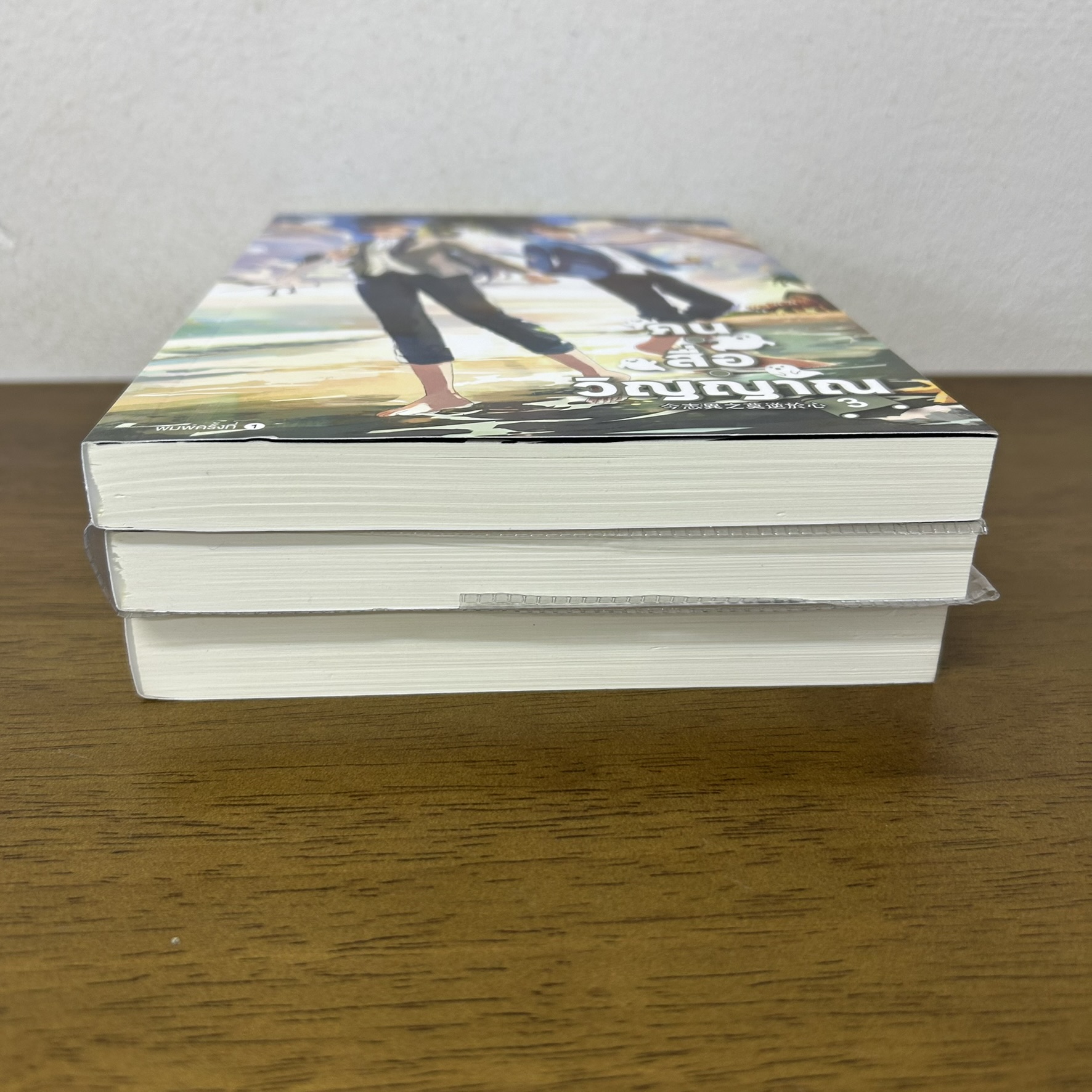 [YAOI] คน สื่อ วิญญาณ เล่ม 1-3 จบ ครบชุด ... สืออู่ Shi Wu (มือสอง) นิยายวาย วายแปล everY