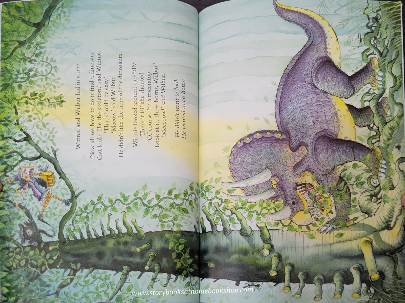 หนังสือนิทานปกอ่อน** 🍅WINNIE AND WILBUR THE DINOSAUR DAY by Valerie Thomas and Korky Paul