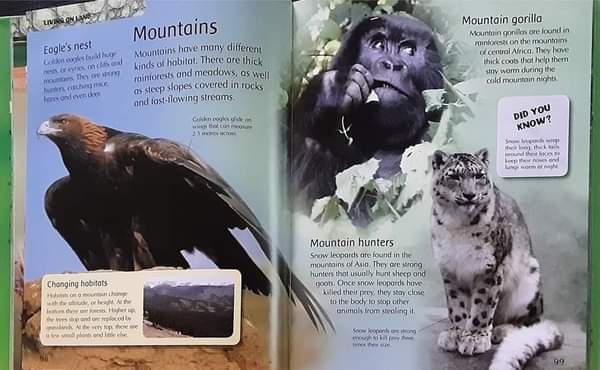 KNOWLEDGE BOOK ** 🍅🍓 MY FIRST ANIMAL ENCYCLOPEDIA