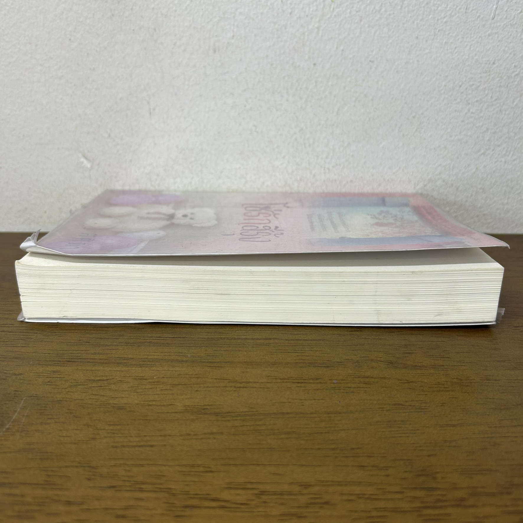 โซ่รักสีรุ้ง ... ศศิภา (มือสอง) นิยาย โรแมนติก