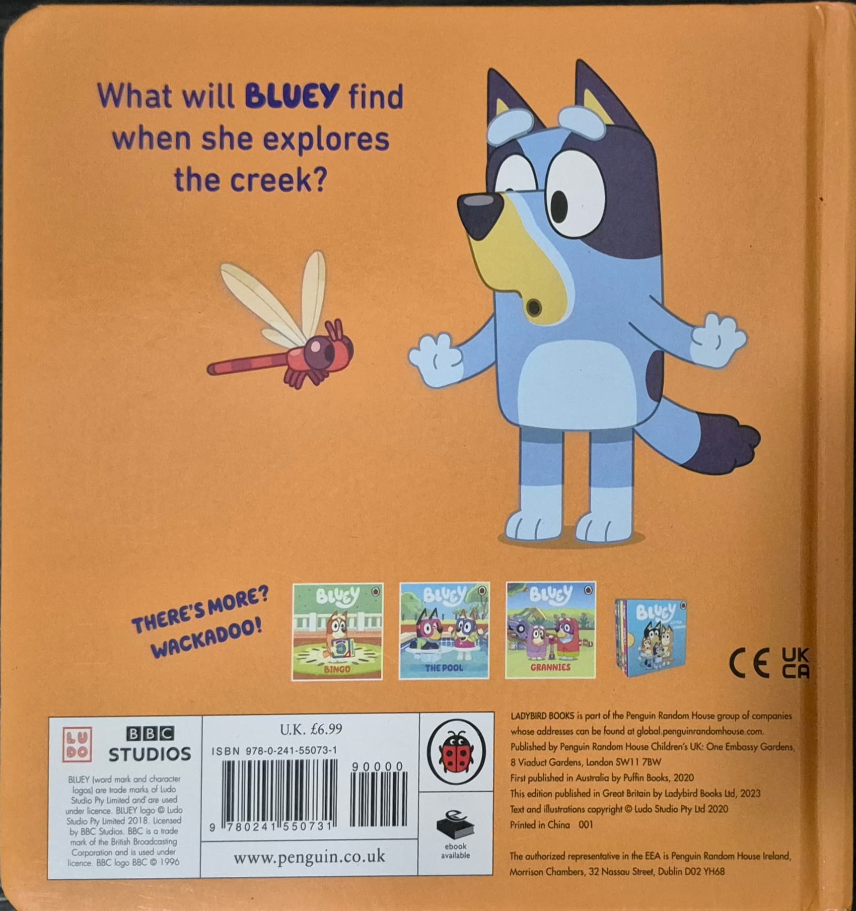 BOARD BOOK** 🍅🍓BLUEY THE CREEK