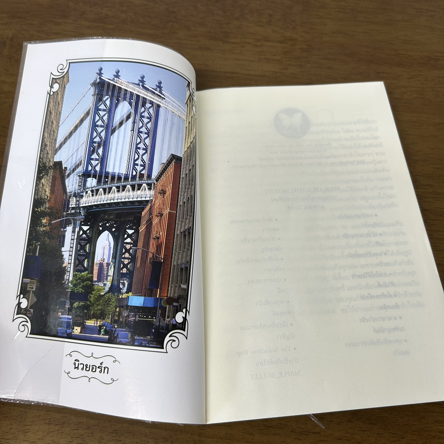 กลรักตรวนหัวใจ ... ณัฐณรา (มือสอง) นิยาย โรมานซ์ พลอยวรรณกรรม