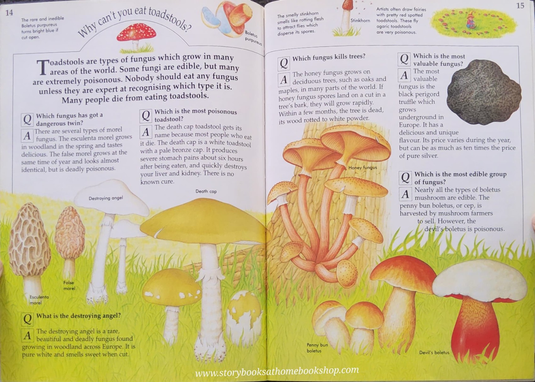 Knowledge Book ** 🍓🍓100 Q&A DANGEROUS AND DEADLY