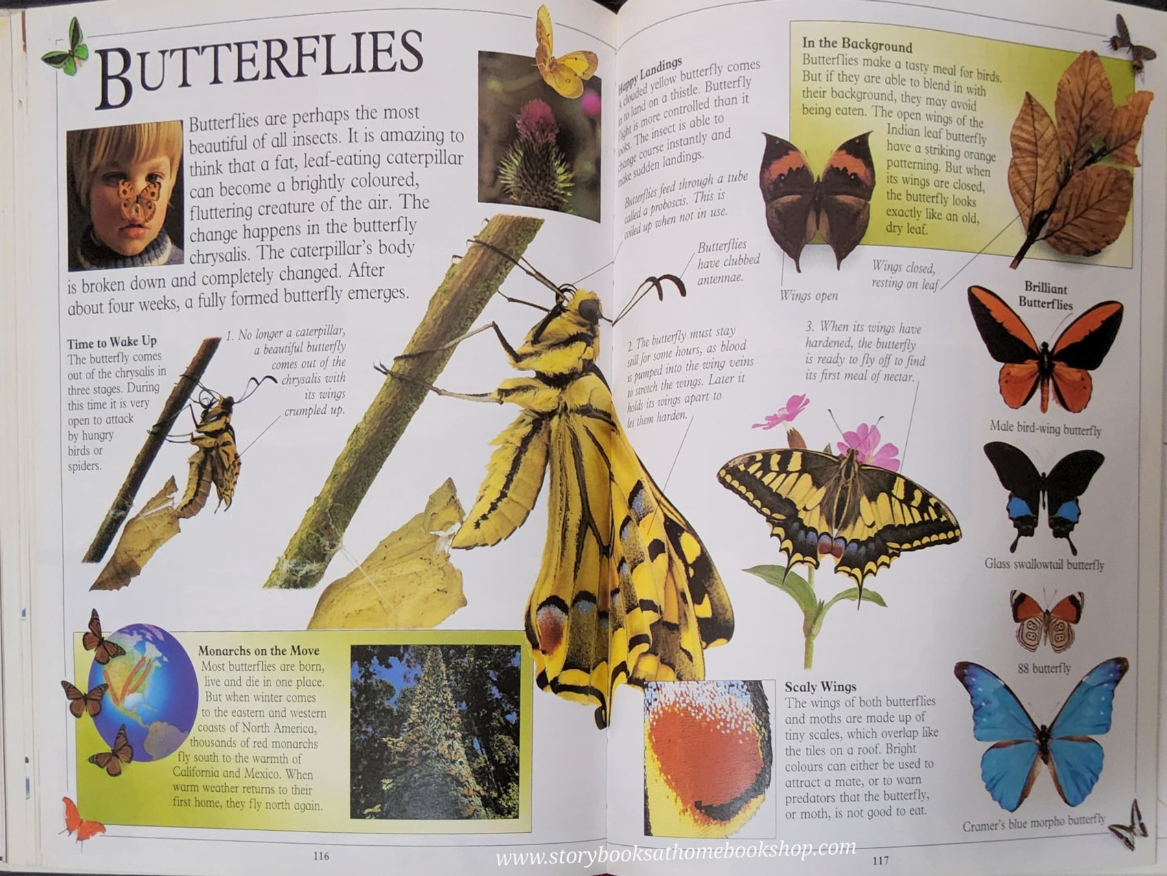 **KNOWLEDGE BOOK** ð
ðTHE DORLING KINDERSLEY BIG BOOK OF KNOWLEDGE