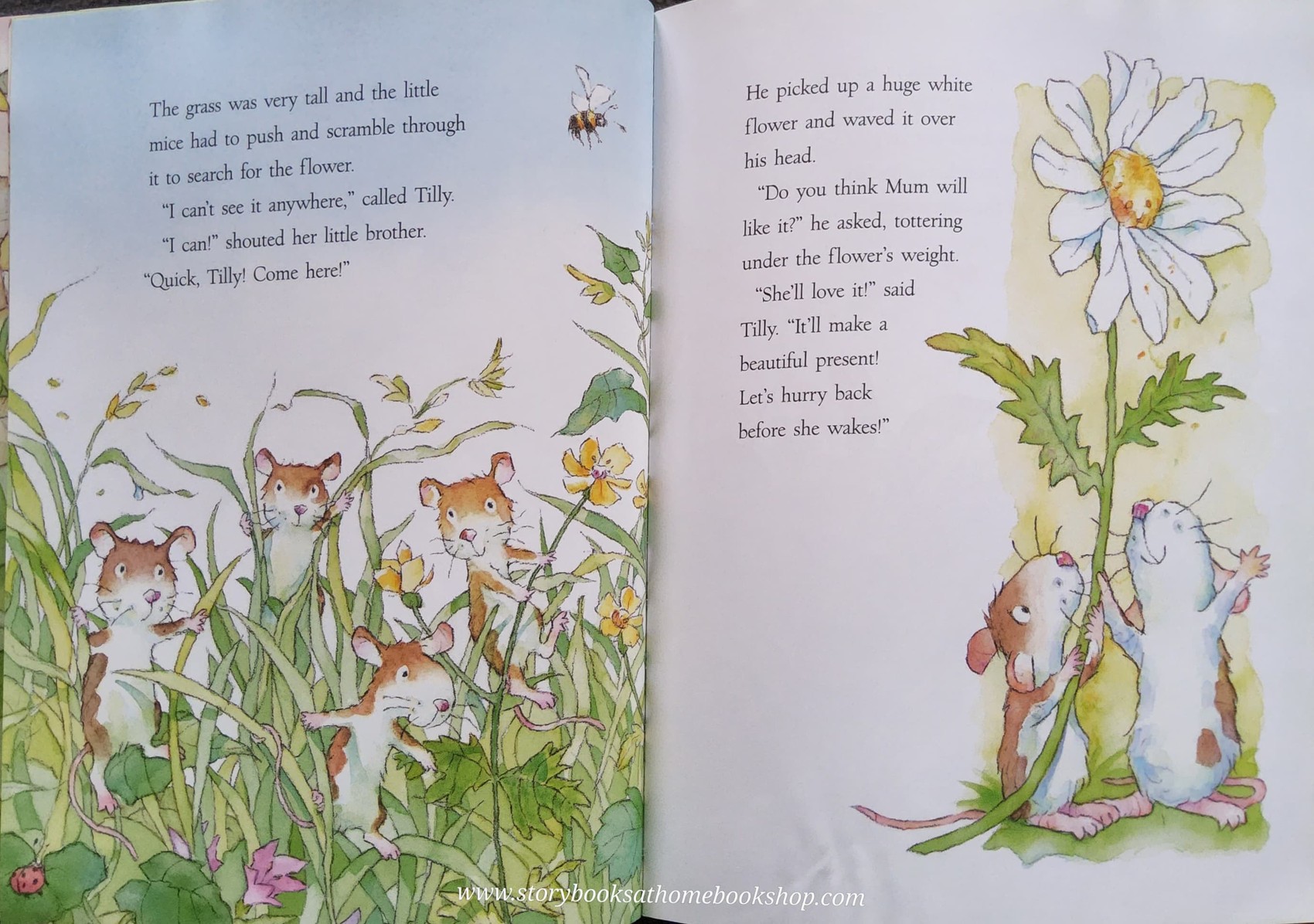 หนังสือนิทานปกอ่อน** 🍅JUST FOR YOU!♥️